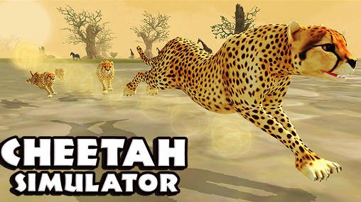 download Cheetah simulator apk